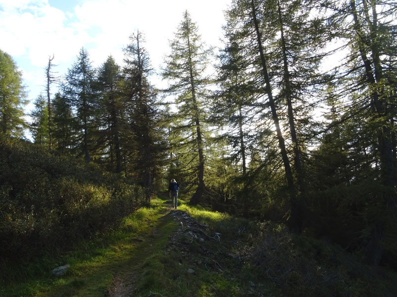 Catena dei Lagorai...da Pergine al Passo del Manghen